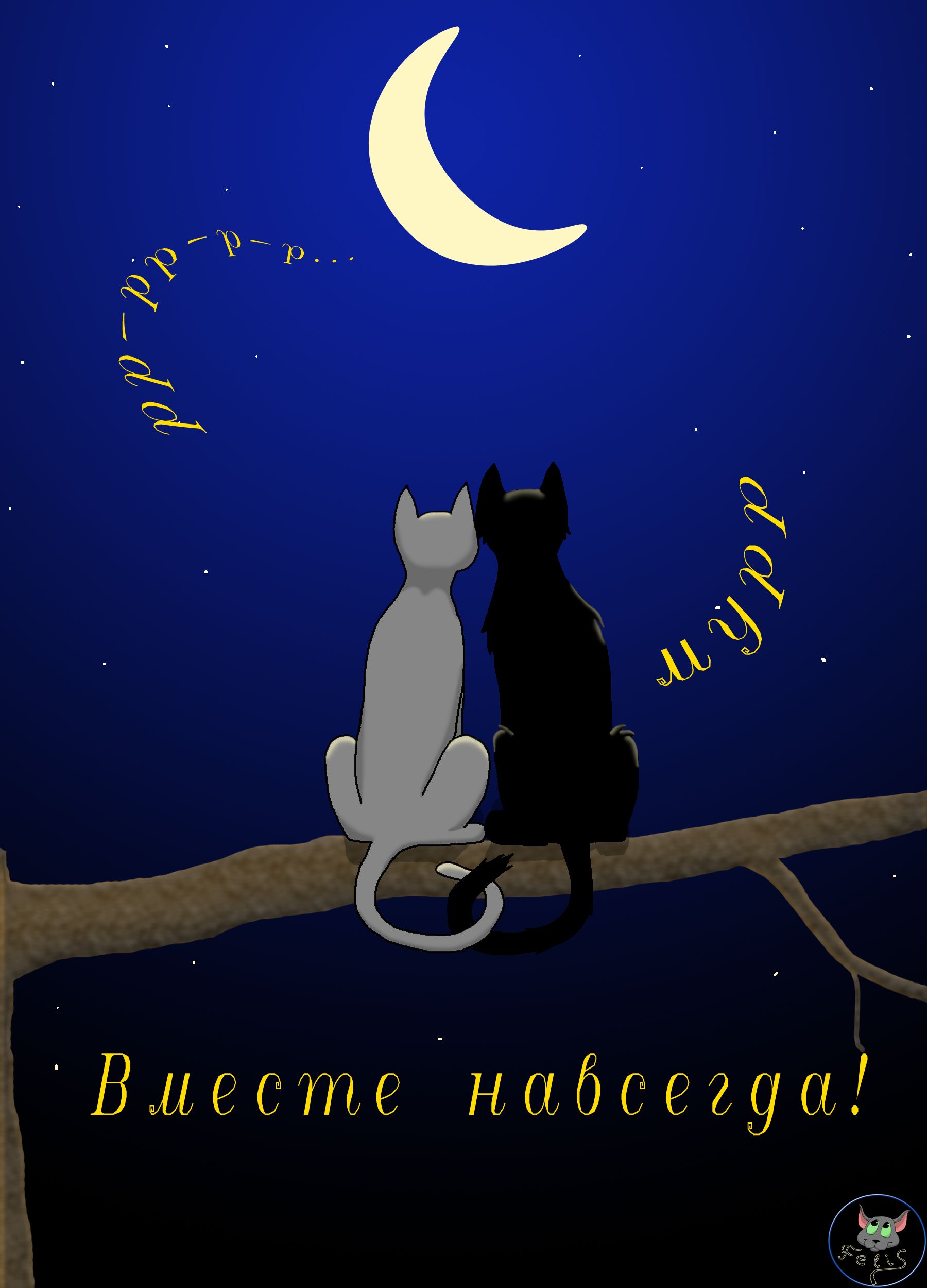 Двое влюбленных котят :)
