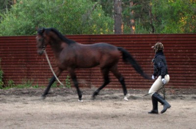 Aztec_GoHamster!.JPG (83.58 КБ) 13771 просмотр Идеальный сбор =)<br />Типа, я конь порядочный, шамборьером по попе не надо =)