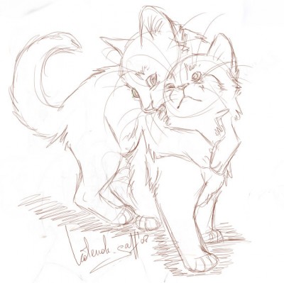 kotenok_gaff_huglez.jpg (56.25 КБ) 10642 просмотра kotenok_gaff_huglez.jpg