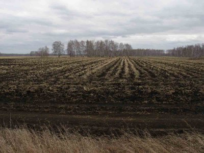 Pole.jpg (80.38 КБ) 60979 просмотров Pole.jpg