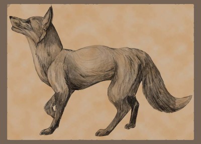 Fox.jpg (64.36 КБ) 14357 просмотров Fox.jpg