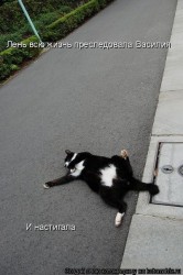 x_ec21f019.jpg (62.94 КБ) 23997 просмотров x_ec21f019.jpg