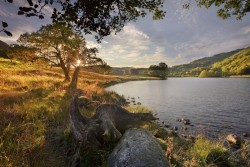 0053ck6f.jpg (146.53 КБ) 24006 просмотров Одна из работ Стива Хайфилда