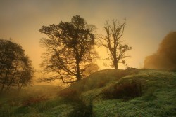 0052hq85.jpg (247.6 КБ) 24004 просмотра Ещё одна работа Стива Хайфилда