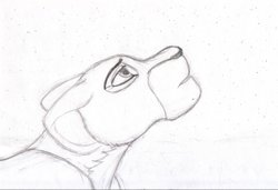 guidemegods_v2_cropped.jpg (76.83 КБ) 21608 просмотров Guide me, great kings!